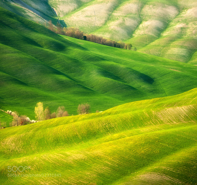 The Rolling Hills of Tuscany