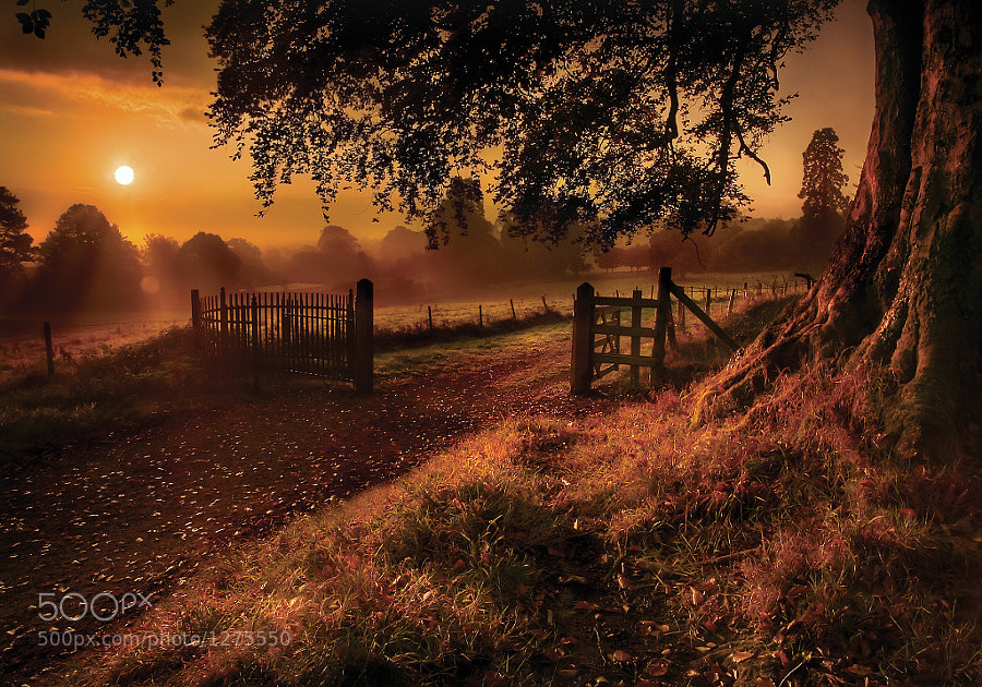 Photograph Autumn Sunrise by Gary McParland on 500px