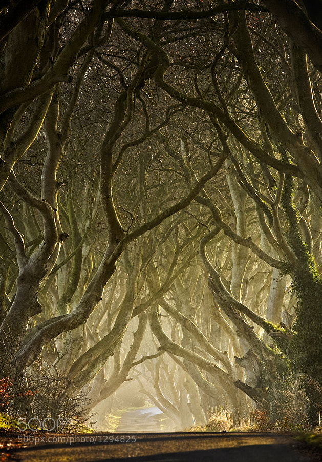 Mystical, Magical Ireland: Gorgeous Photography by Gary McParland