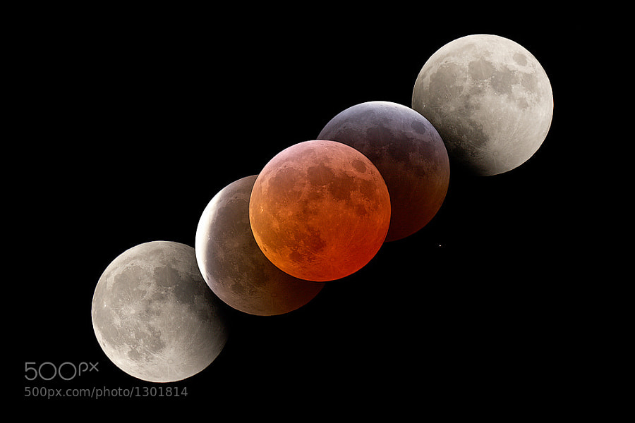 Photograph Blood red moon by Levin Dieterle on 500px