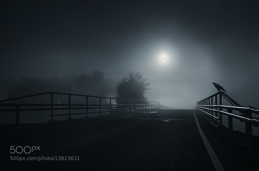 Photograph The crow by Mikko Lagerstedt on 500px