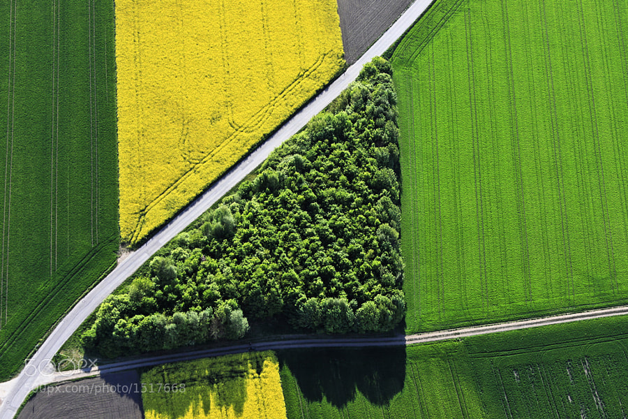 Photograph Green triangle by Klaus Leidorf on 500px