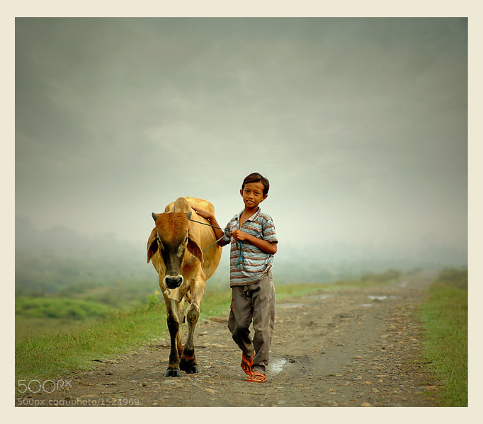 Photograph me and my cow by Teuku Jody Zulkarnaen on 500px