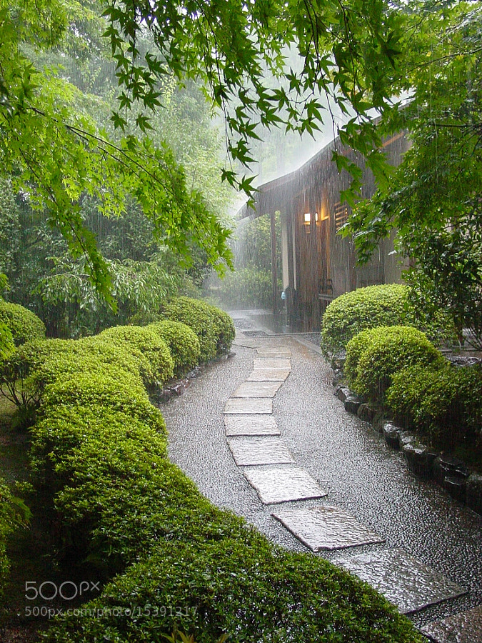 Photograph Kyoto downpour by Gavin Thomas on 500px