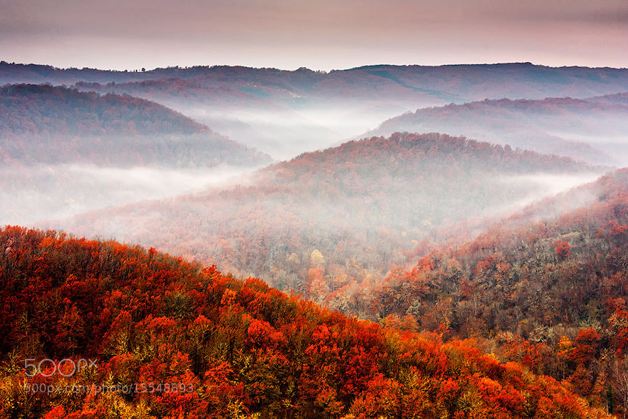 Photograph Autumn Fogs by Evgeni Dinev on 500px