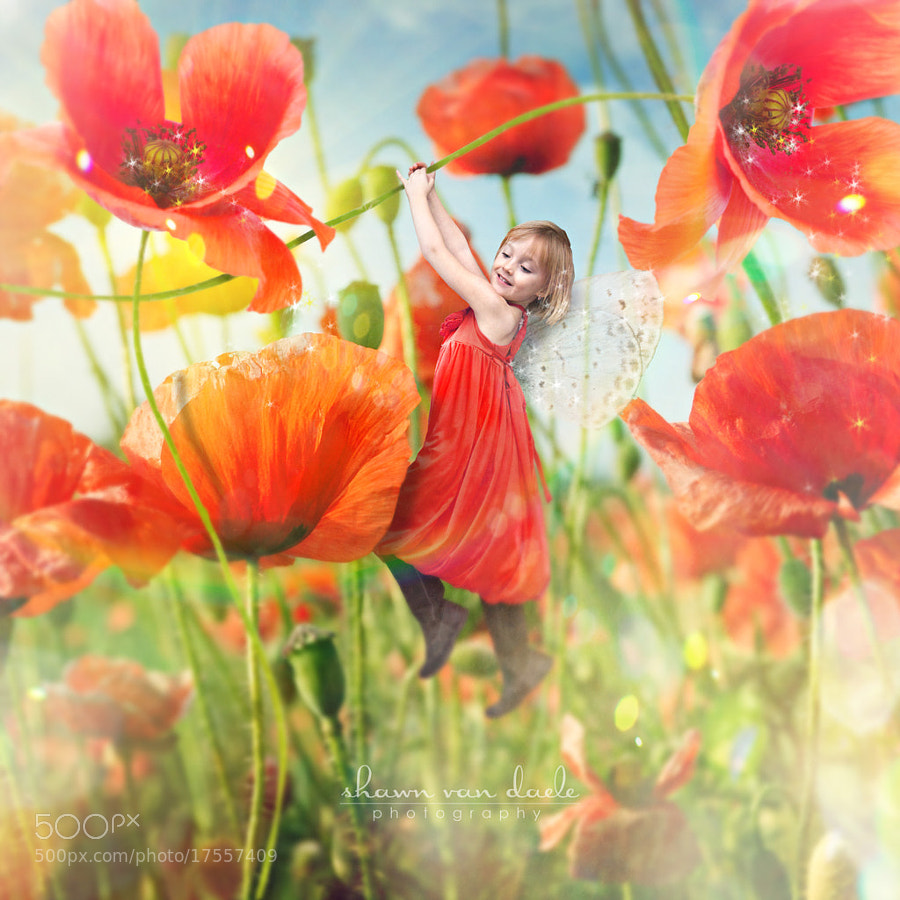 Photograph Naomi, Fairy Princess of Poppies by Shawn Van Daele on 500px