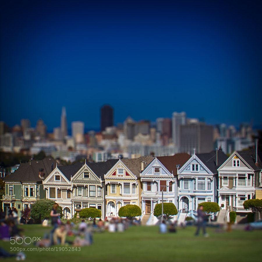 Photograph Painted Ladies by Laurent Meister on 500px