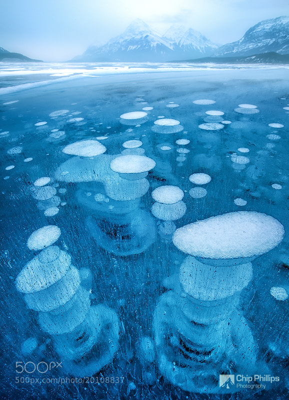 Abraham Lake Icescape by Chip Phillips on 500px