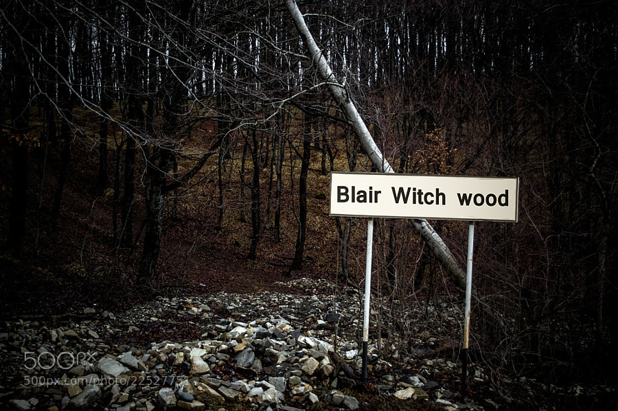 Photograph Blair Witch wood by Longland  River on 500px