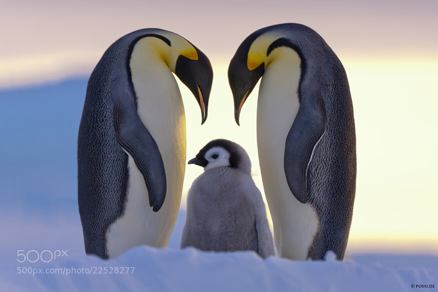 Photograph Parents Love by Anneliese & Claus Possberg on 500px