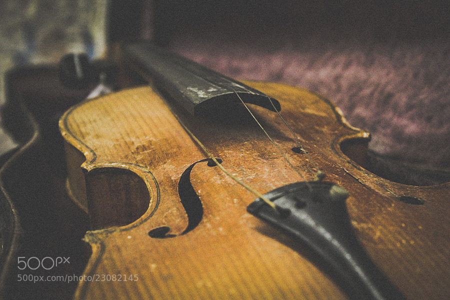 Photograph The Broken Violin by Dantinquing Photography on 500px