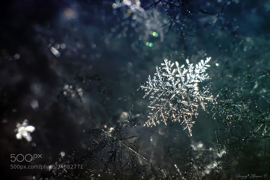 Snowflake by Sergey Alimov on 500px.com