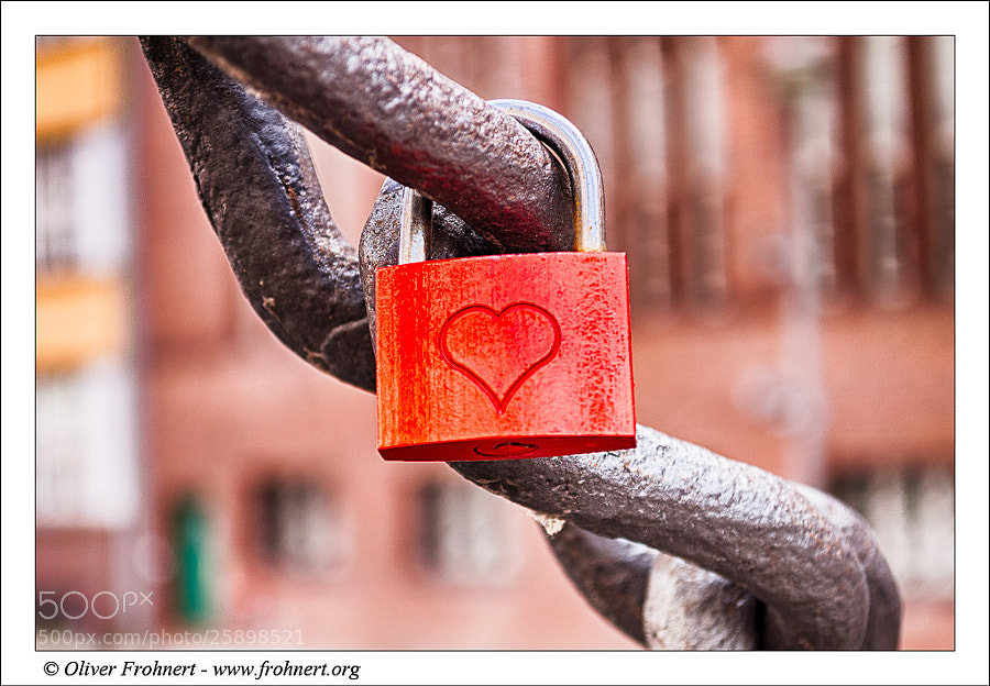Photograph Valentine’s Day by Oliver Frohnert on 500px