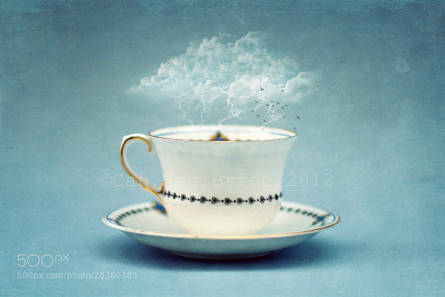 Photograph storm in a teacup by Catherine MacBride on 500px