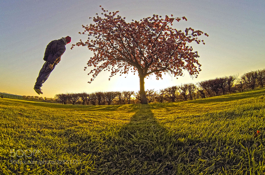 Photograph Morning Levitation (Meditation) by Justas Serstkovas on 500px