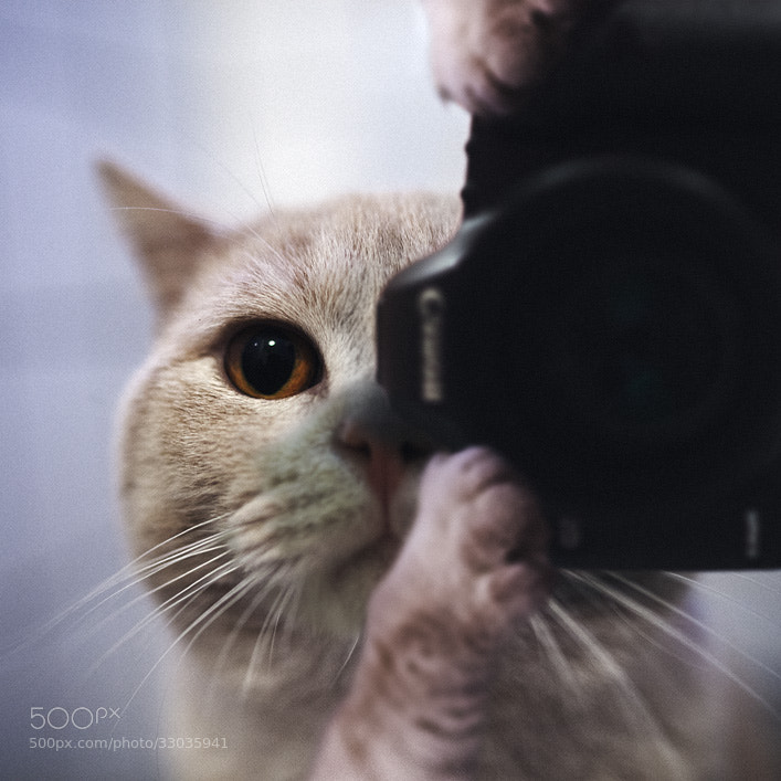 Photograph Self-Portrait by Vito Einfachder on 500px