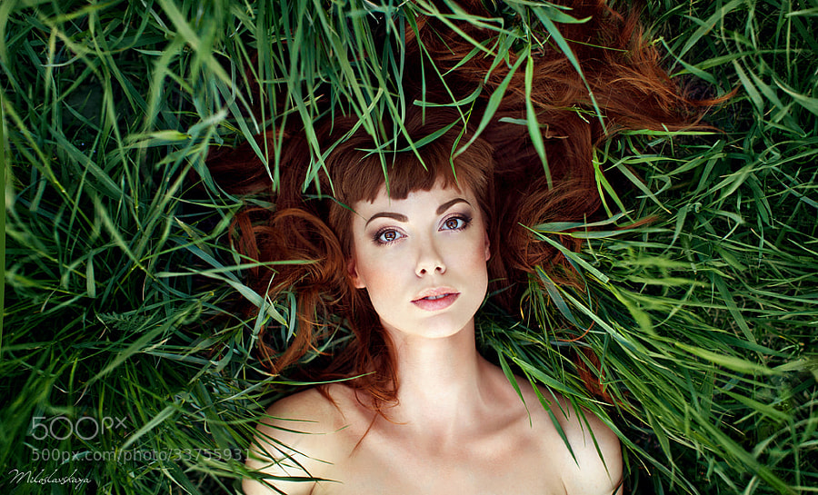 Photograph Spring in green grass  by Elena Miloslavskaya on 500px