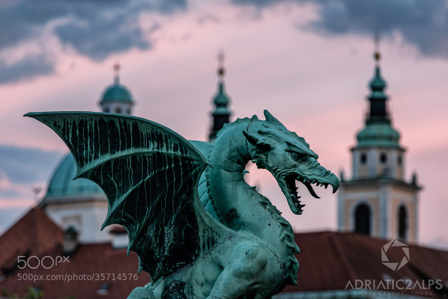 Photograph There be dragons by Luka Esenko on 500px