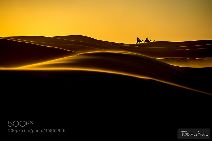 Photograph The Desert Life by Tristan Shu on 500px