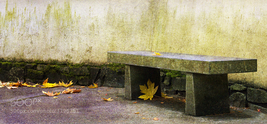 Zen Bench