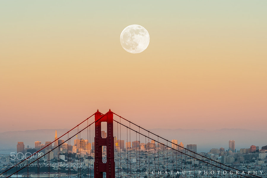 Photograph Supermoon SF by Surya Chataut on 500px