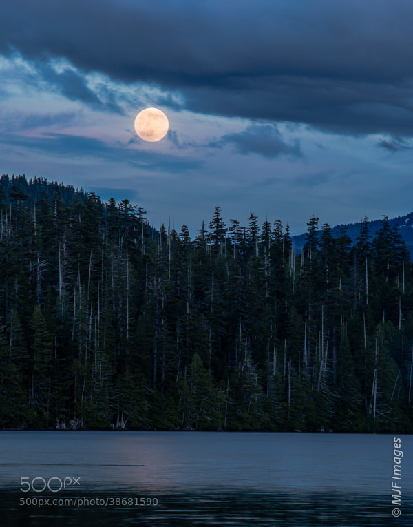 Photograph Full Moon at Perigee by Michael Flaherty on 500px