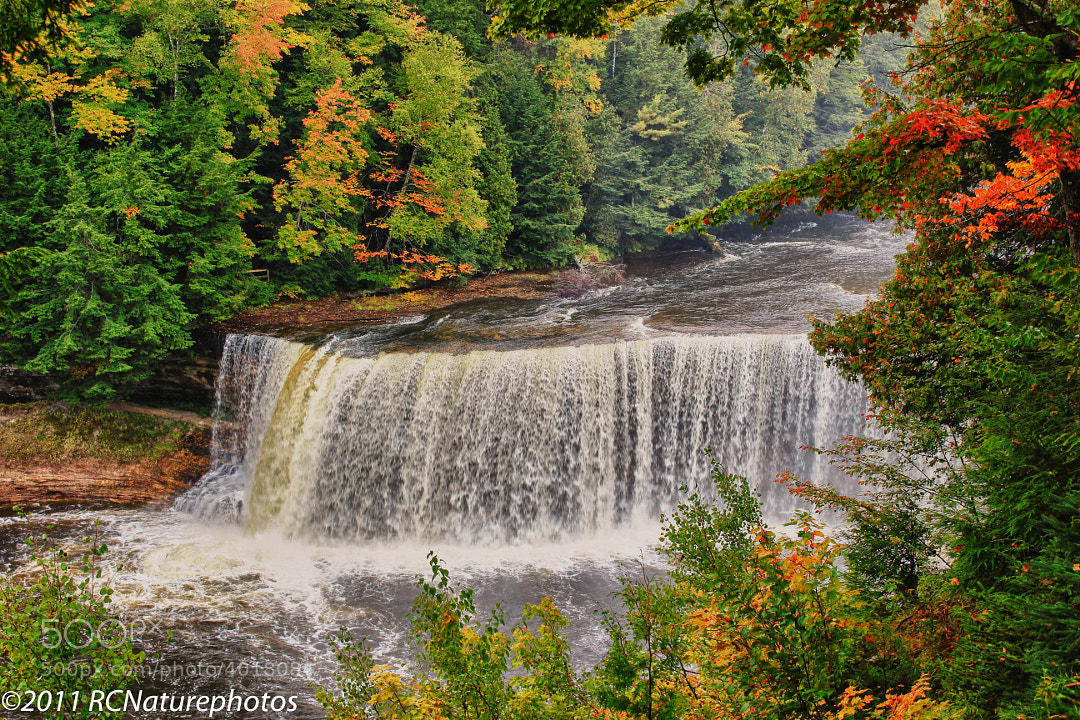 The Falls in Fall by Rachel Cohen