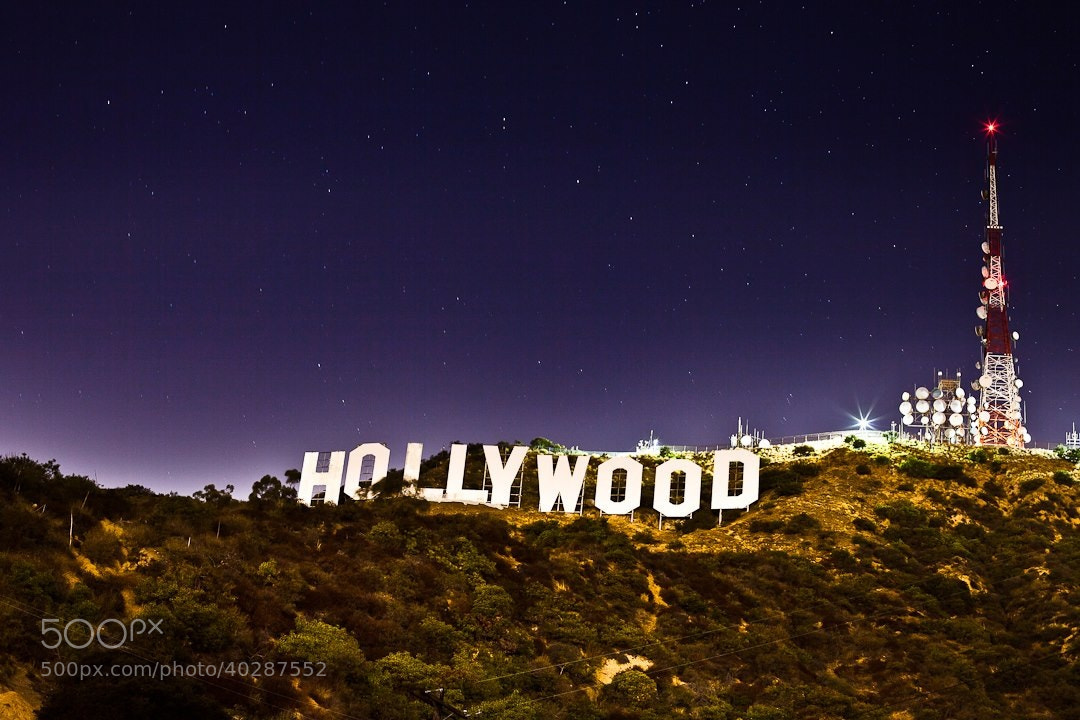Image result for hollywood sign night