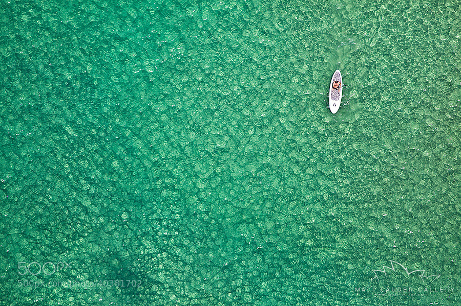 Photograph Bondi Paddleboarder by Matt Lauder on 500px