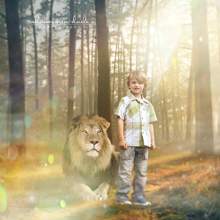 Photograph Marco The Brave by Shawn Van Daele on 500px