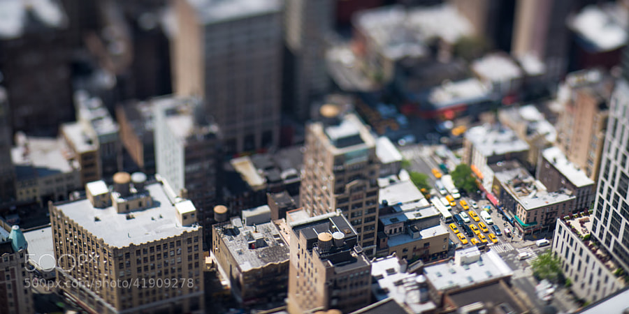 Photograph Little cabs by Damien Bapst on 500px