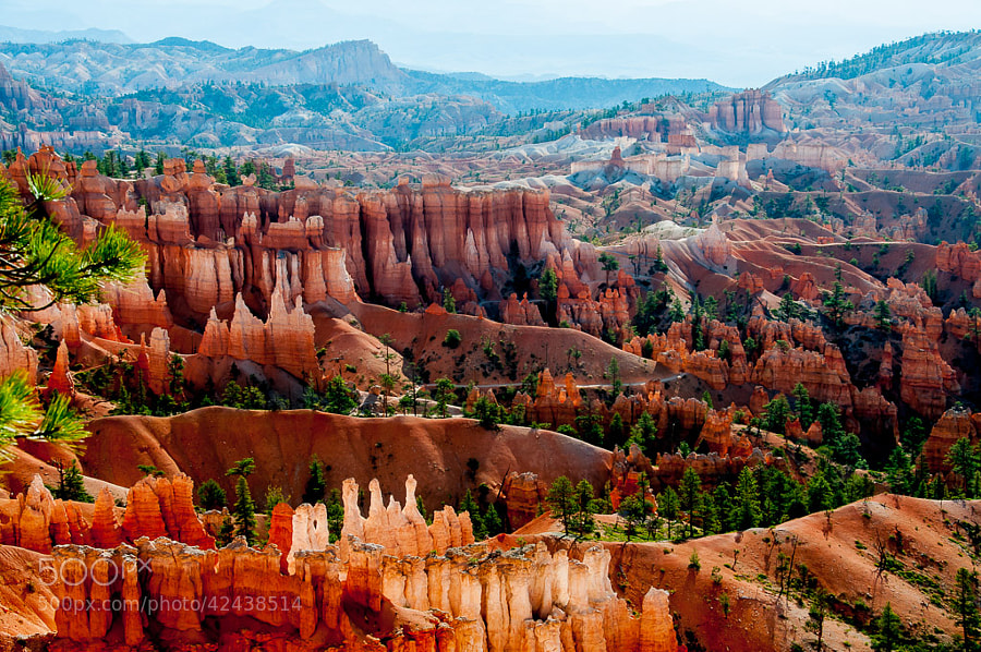 Photograph Bryce by F Jin on 500px