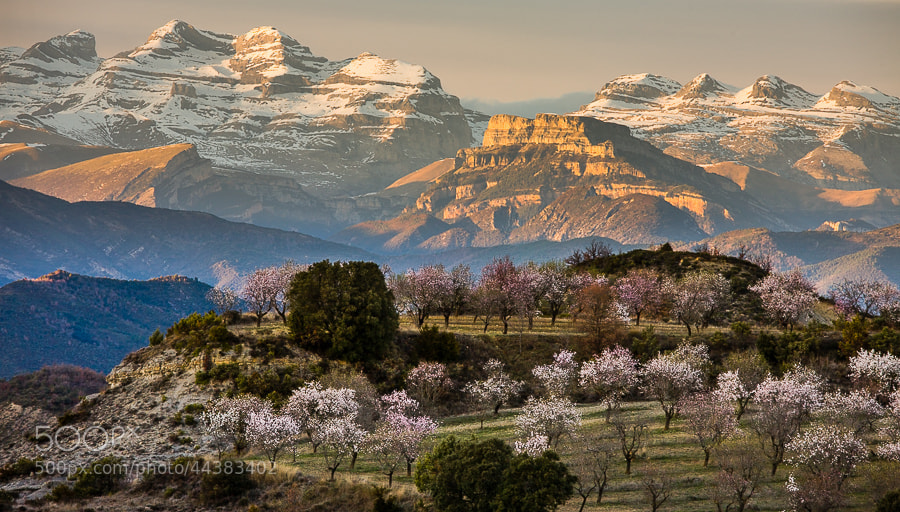 Photograph Early spring in the Pyrenees by Hans Kruse on 500px