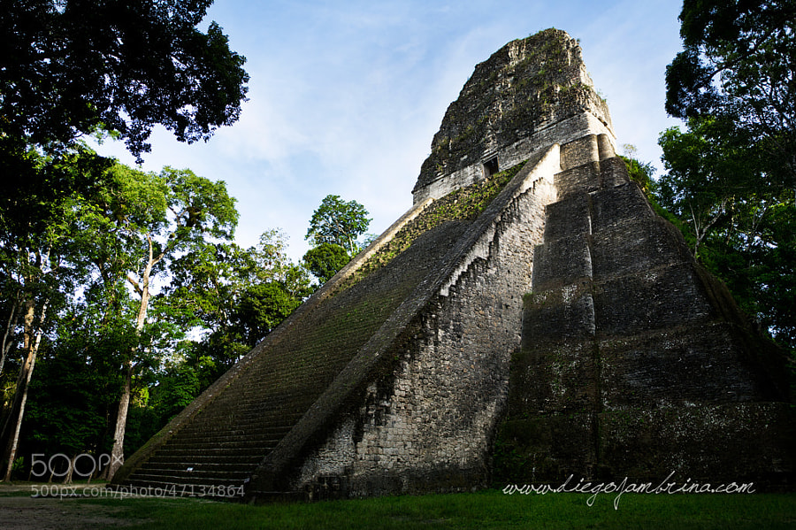 Templo maya en Tikal by Diego Jambrina on 500px.com