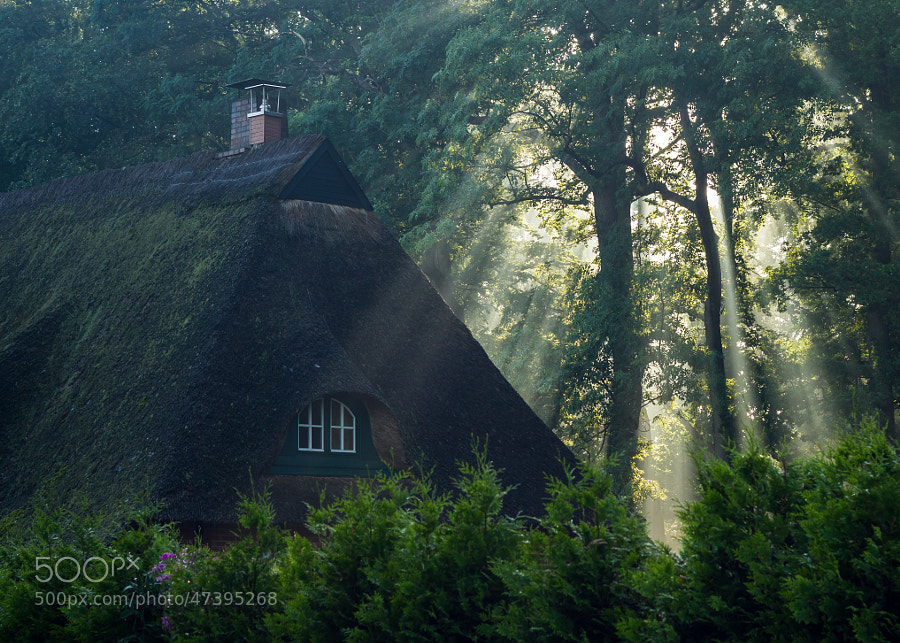 Photograph House in the forest by Dirk Siemer on 500px
