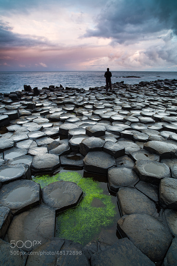 Photograph The Hexagons by Thomas Mader on 500px