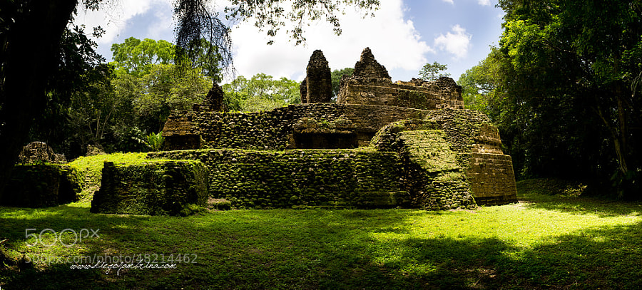 La selva devora las ruinas de Uaxactún by Diego Jambrina on 500px.com