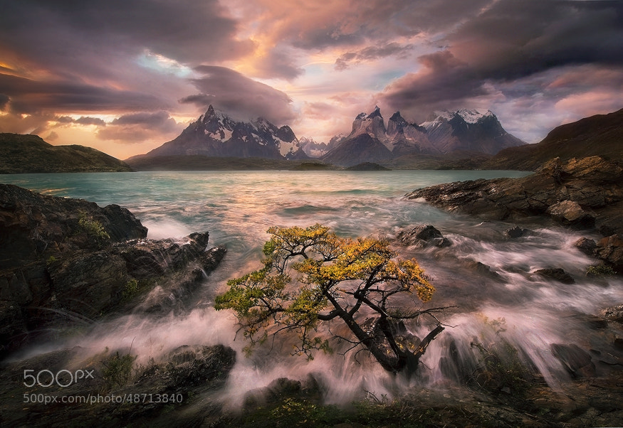 Photograph Audience of One by Marc  Adamus on 500px