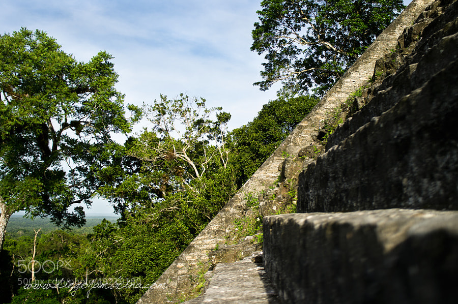 Los templos mayas se elevan por encima de la selva by Diego Jambrina on 500px.com