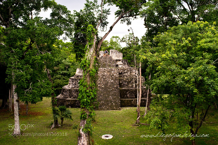 Templo maya en Yaxhá by Diego Jambrina on 500px.com