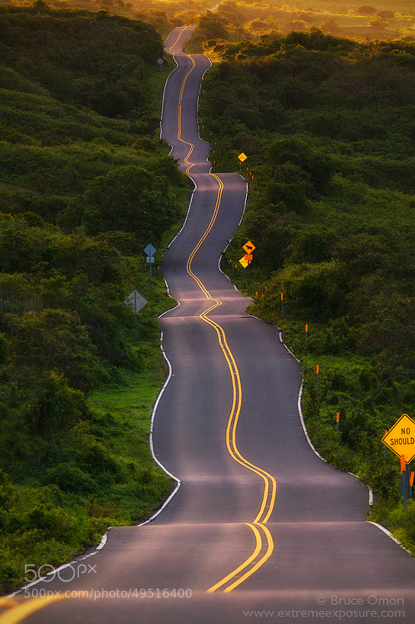 Photograph My Life by Bruce Omori on 500px
