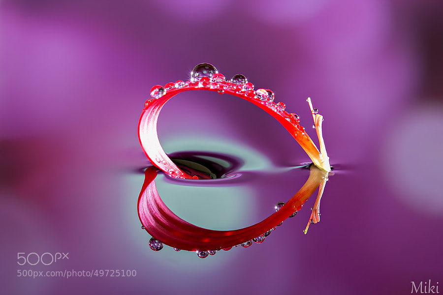 Photograph Heart Object by Miki Asai on 500px
