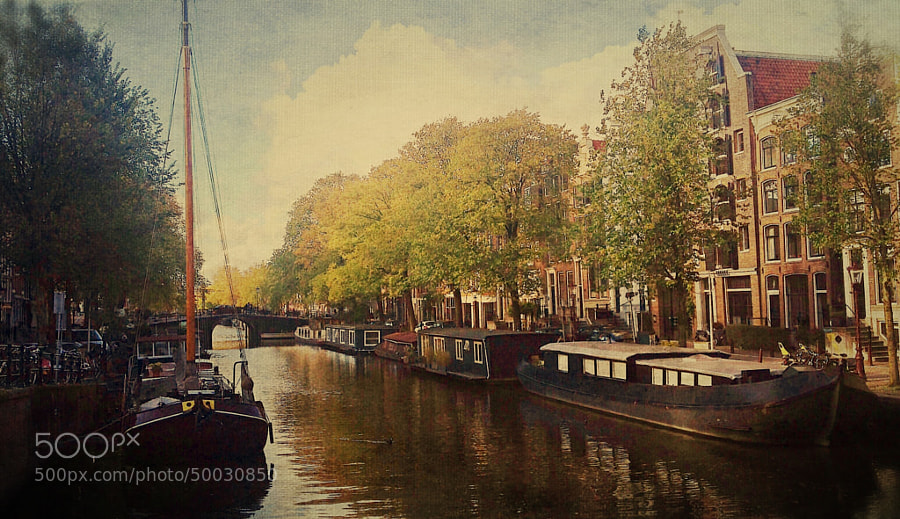 Photograph October in Amsterdam by Magda DJM on 500px
