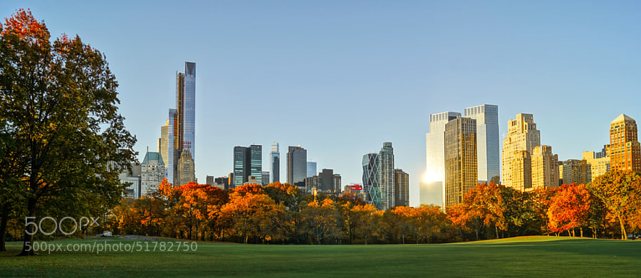 Photograph Central Park - Fall Colors at Sunrise by Mark Turner on 500px