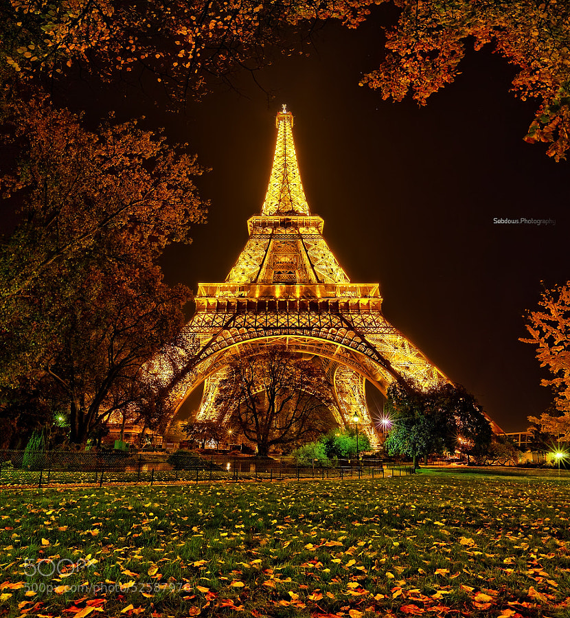 Photograph Eiffel Tower - Paris by Sebdows Photography on 500px
