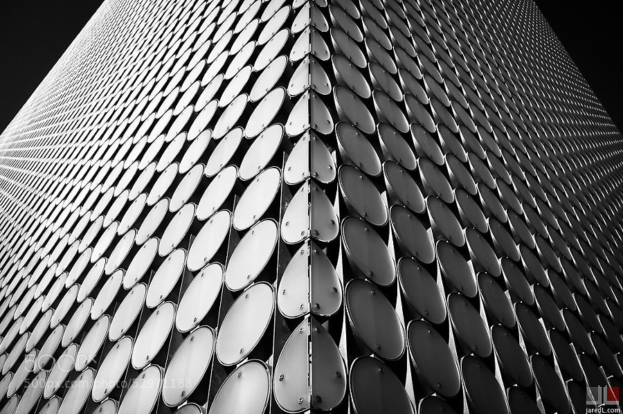 Bilateral by Jared Lim on 500px.com