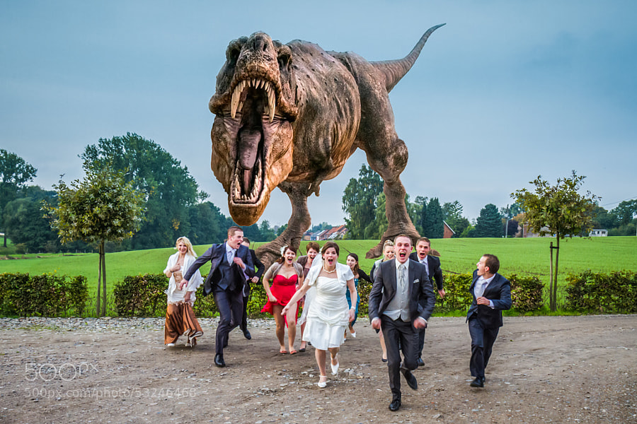 Photograph Rex at the Wedding by Steeve Vanengeland on 500px