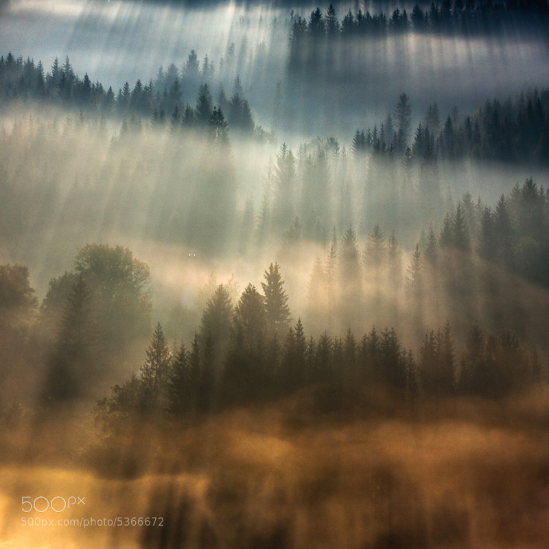 In the Morning Mists: Stunning Photography by Marcin Sobas of Poland