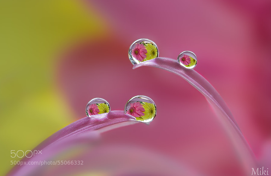 Photograph ballet dancers by Miki Asai on 500px