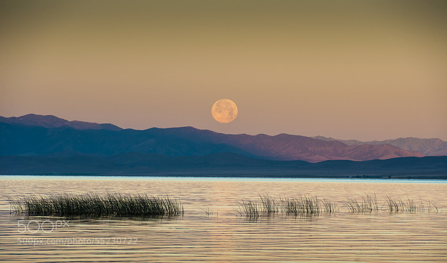 Photograph Supermoon by Robbie Petersen on 500px